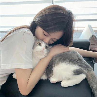 花牌情缘第三季